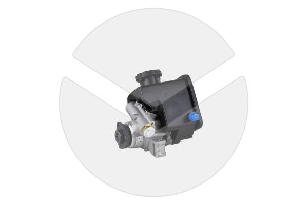 Hydraulikpumpe, Lenkung (Austausch) Mercedes A2466760180