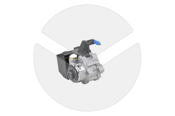 Hydraulikpumpe, Lenkung (Austausch) Mercedes A3466070180