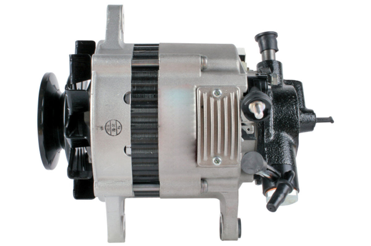 Generator mit Doppelriemenscheibe 74mm HELLA für KIA RETONA Geländewagen
