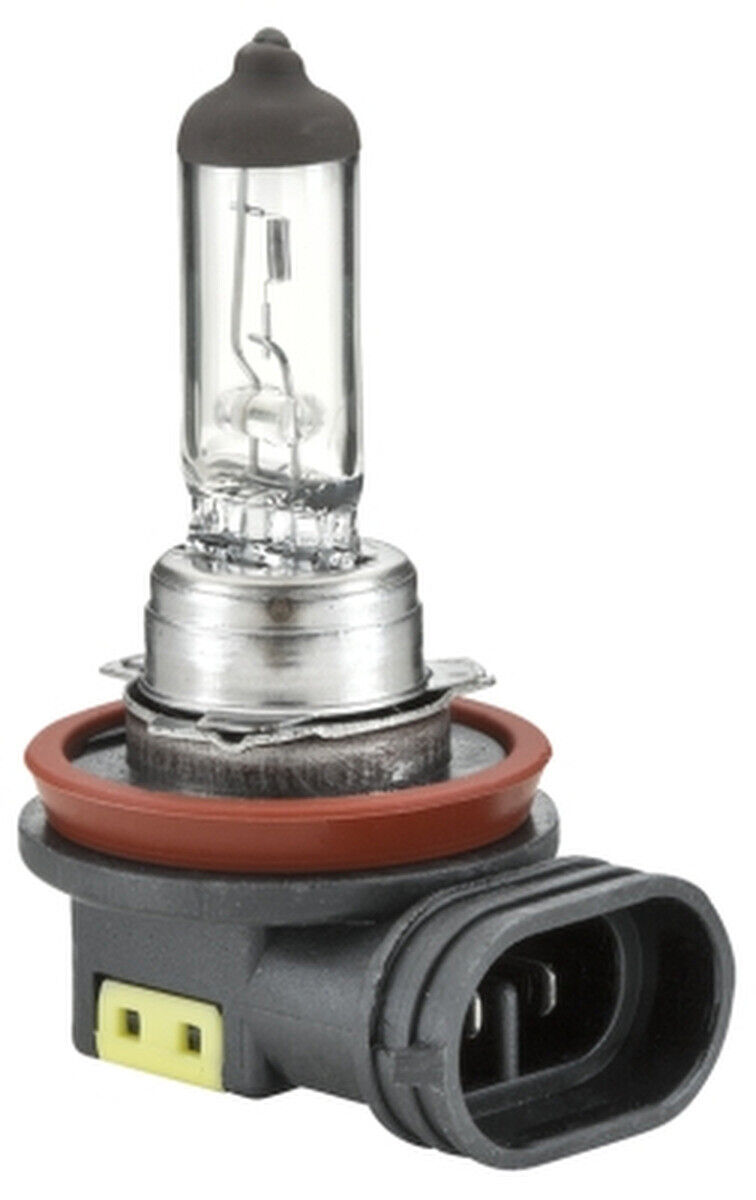 Glühlampe Fernscheinwerfer Halogen HELLA für AUDI A3 Sportback (8VA/ 8VF)