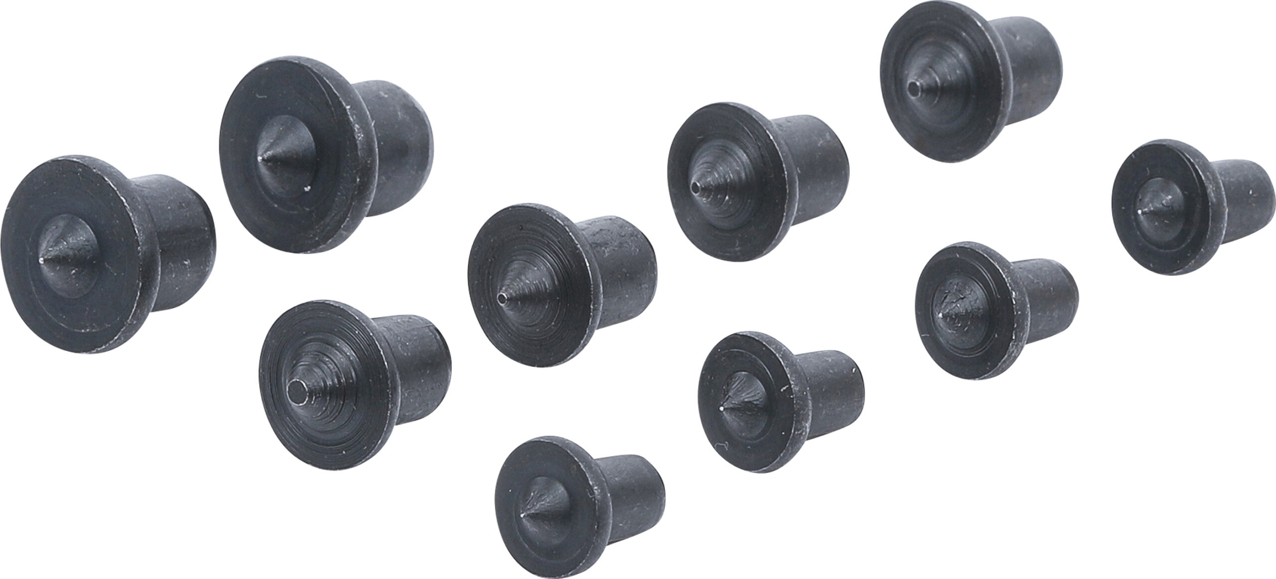 50404 1 scaled